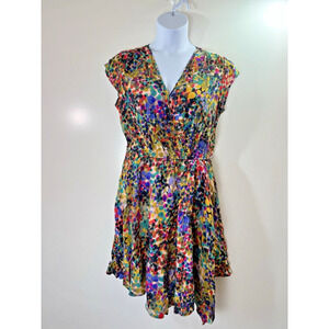 Presley Skye Women’s Silk Watercolor Dress Size L Rainbow Multicolor Gypsy Artsy